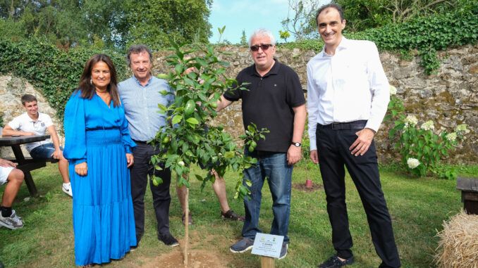 La fiesta fue un éxito pero la solidaridad sigue con los LIMONES SOLIDARIOS de Novales