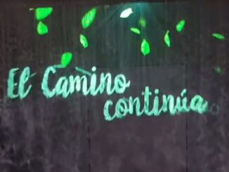 Cultura impulsa a través de la Fundación Camino Lebaniego 44 actividades de educación ambiental