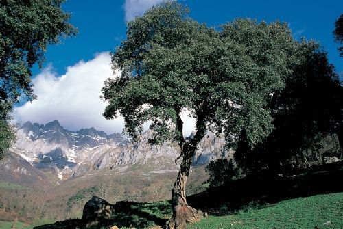 Cantabria busca fidelizar al viajero de Castilla y León
