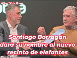 Cabárceno estrenará recinto de elefantes con el nombre de Santiago Borragán